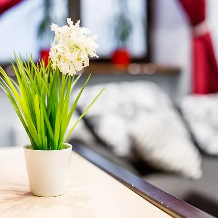 Alfa Uzhgorodska Апартаменти