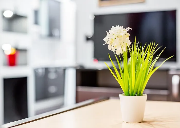 Alfa Uzhgorodska Lviv